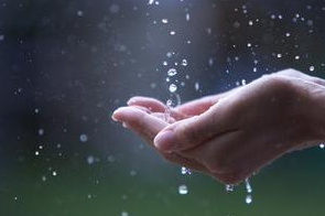 春雨