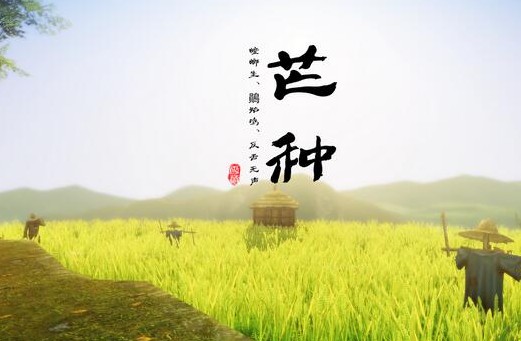芒种前后云